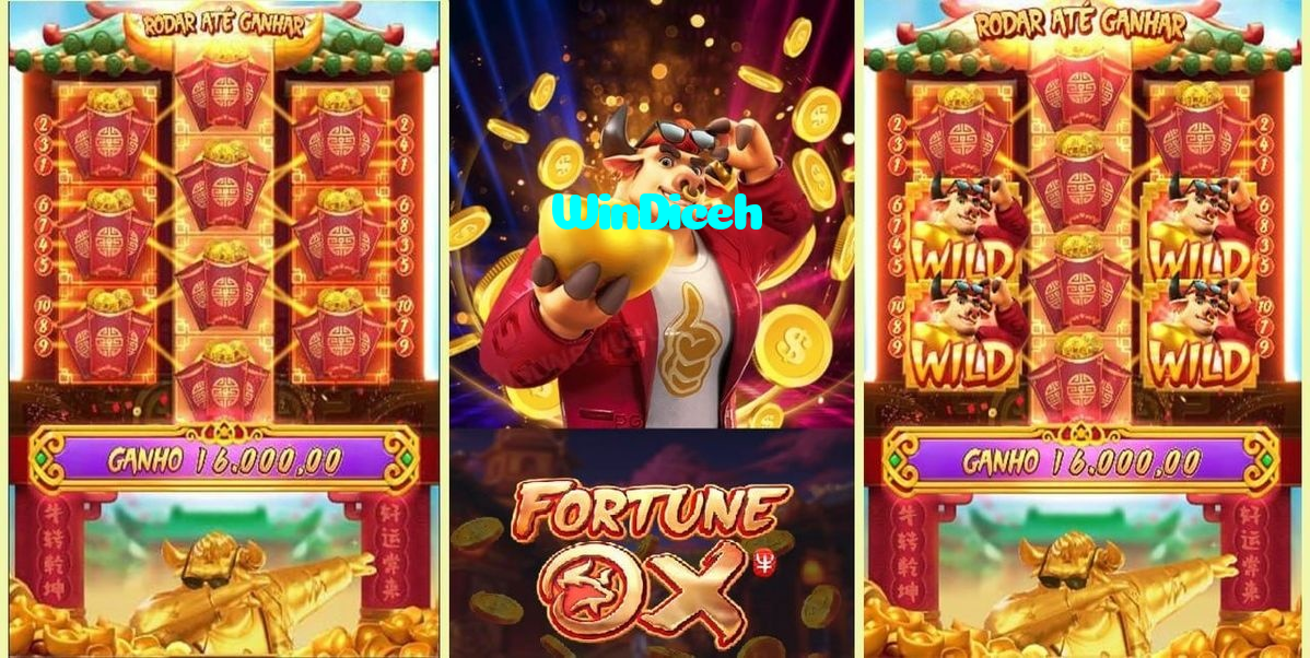 WinDiceh